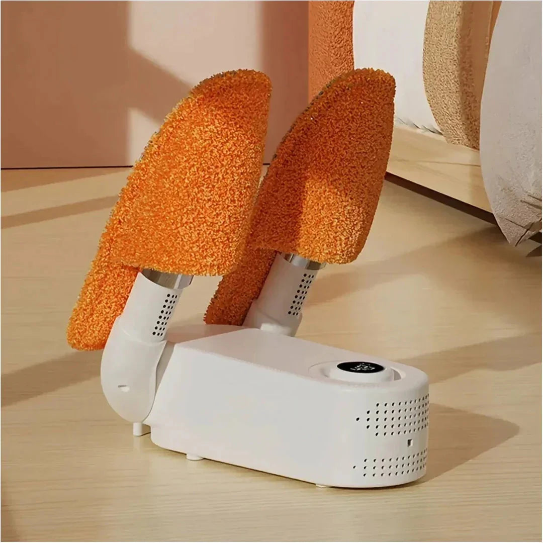 Smart Shoe Dryer and Deodorizer