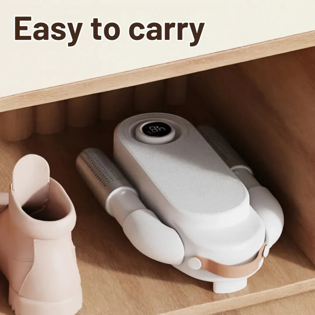 Smart Shoe Dryer and Deodorizer